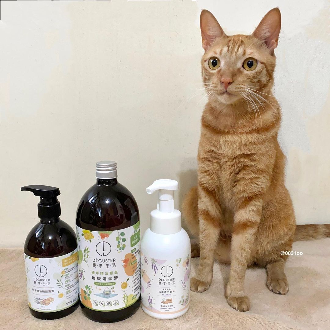 貓咪寵物家庭專用_天然地板清潔劑_慢享生活
